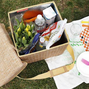 The Sun has got its hat on - time to celebrate National Picnic Week in Style