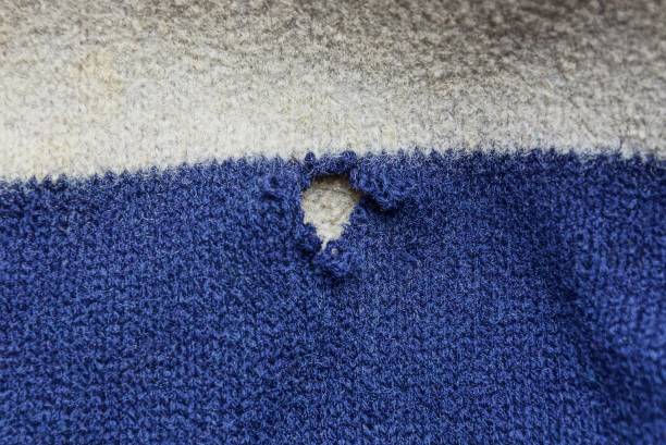 It's 'Moth' Time Of The Year; How To Protect Your Wardrobe