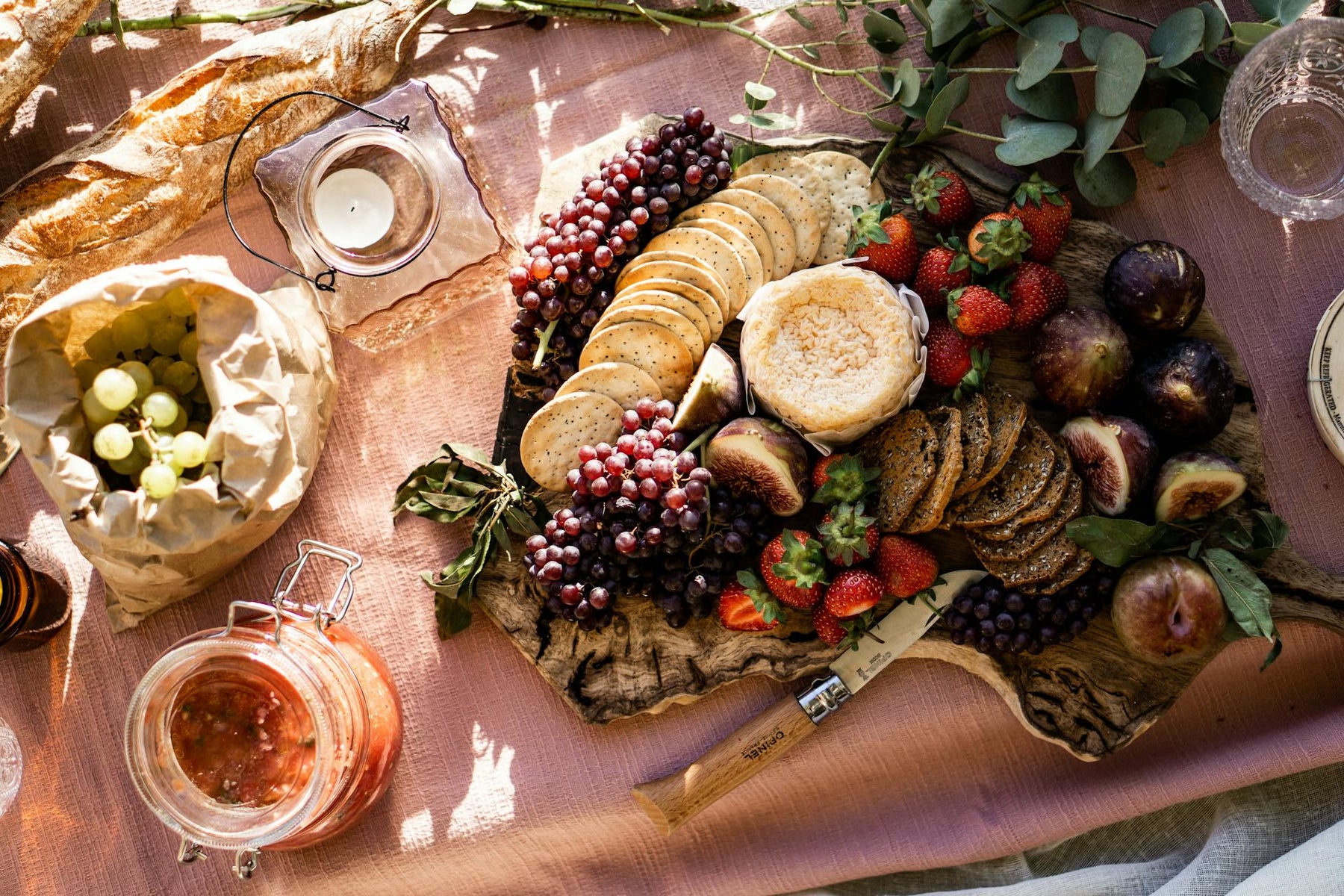 Picnic Packing: Essential Picnic Accessories