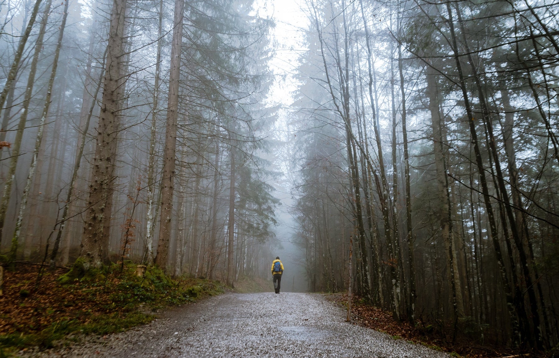 Great gifts for those who love the great outdoors