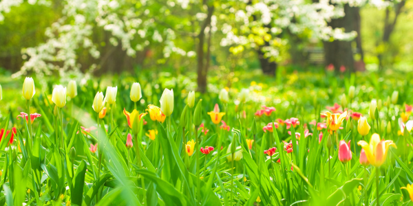 Spring newsletter