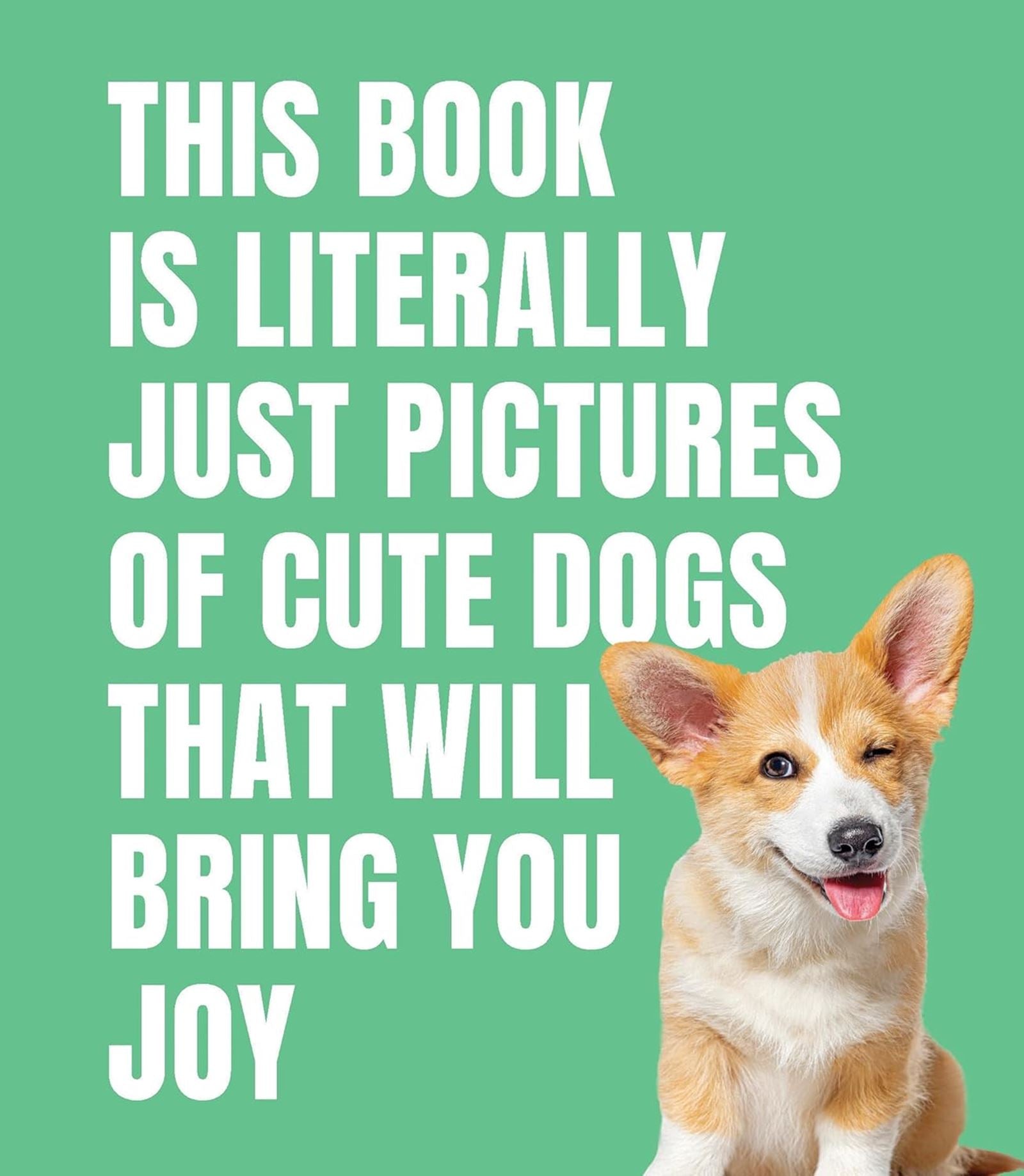 This Book Is Literally Just Pictures Of Dogs