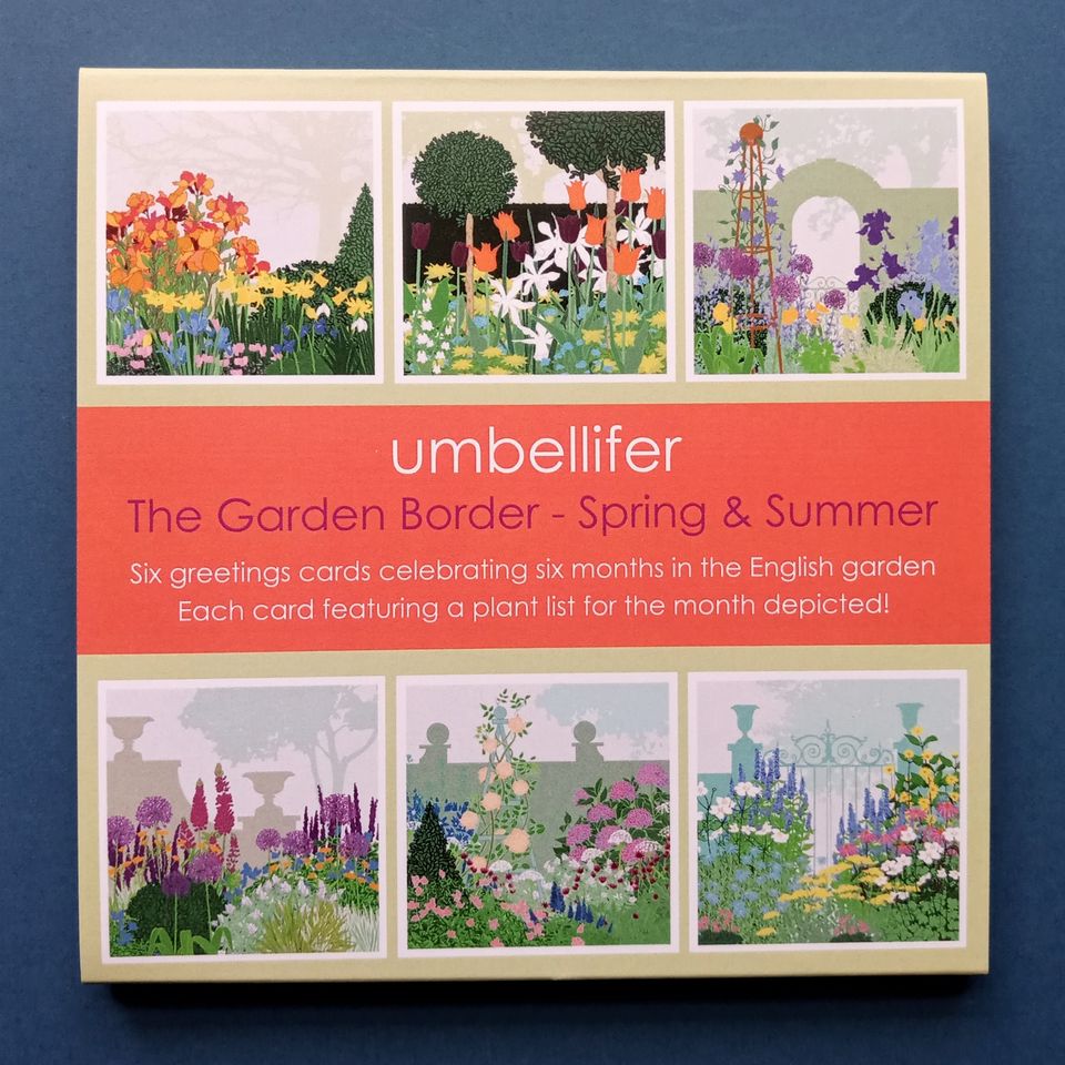 Umbellifer Pack 6 Cards