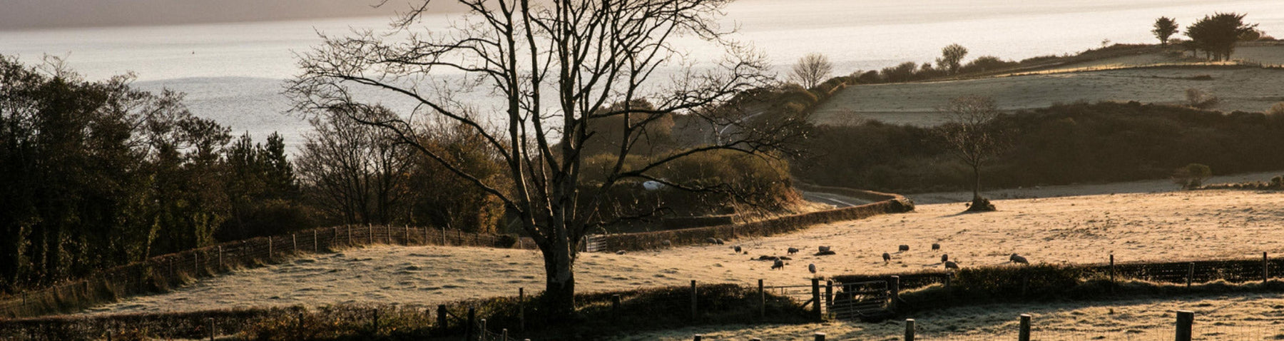 Our Favourite Country Home Gifts for Autumn