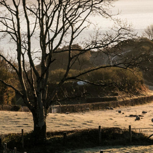 Our Favourite Country Home Gifts for Autumn
