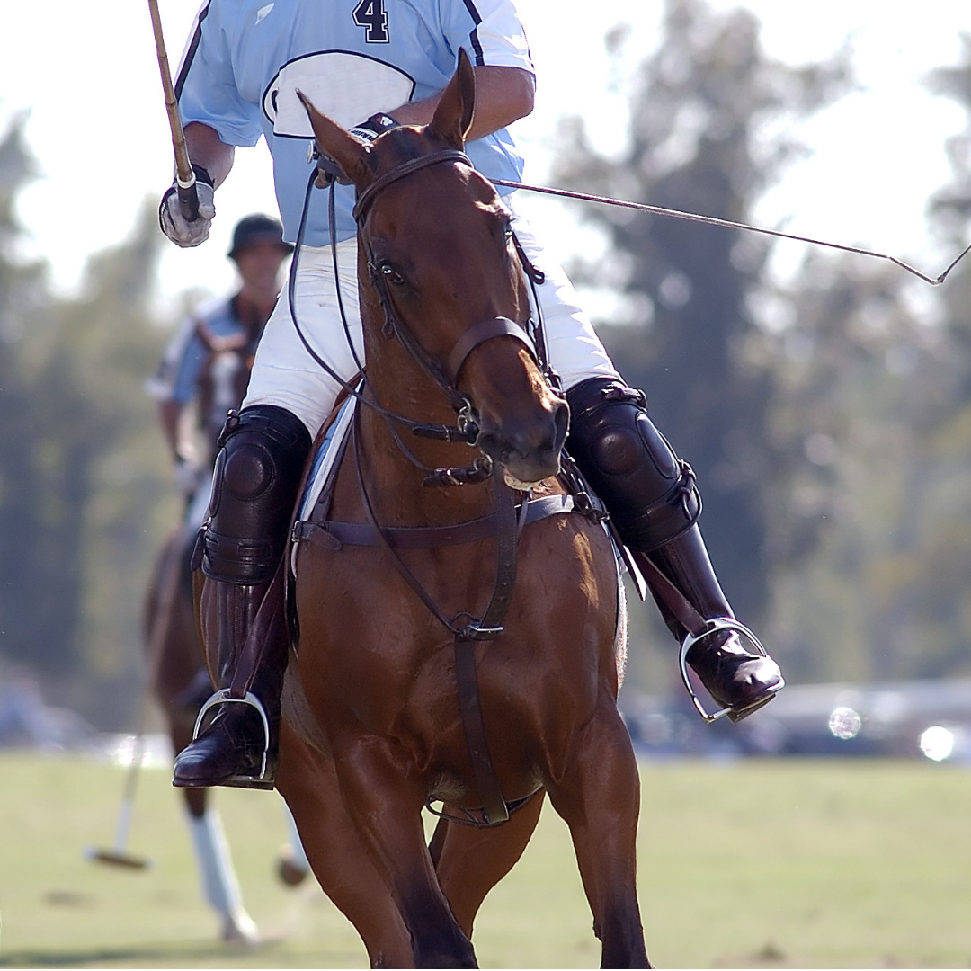 Staying Safe with HPA Approved Polo Helmets