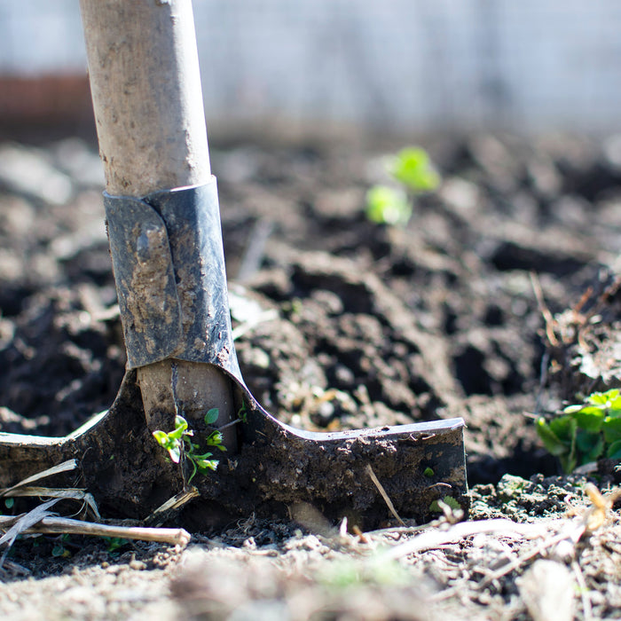Gifts for Garden Lovers