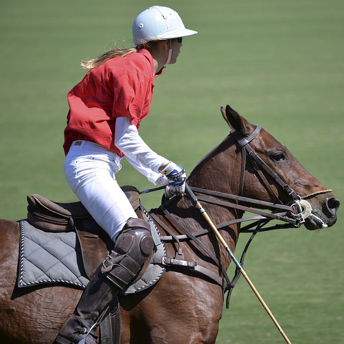 Anyone for Polo? Get Kitted Out Ahead of the New University Season