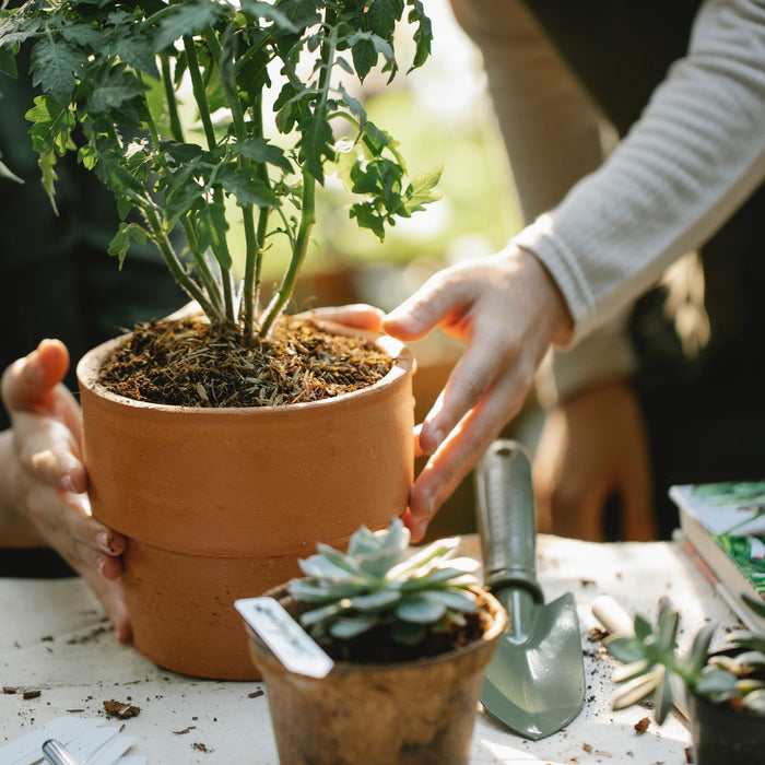 Summer Gifts for Gardeners