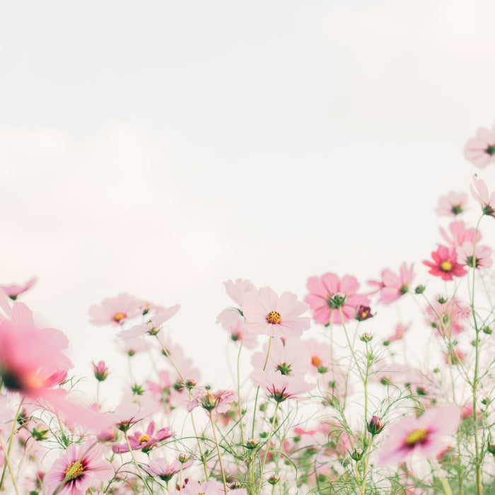 It's Not Just at Chelsea Flower Show Where Floral Designs Flourish!