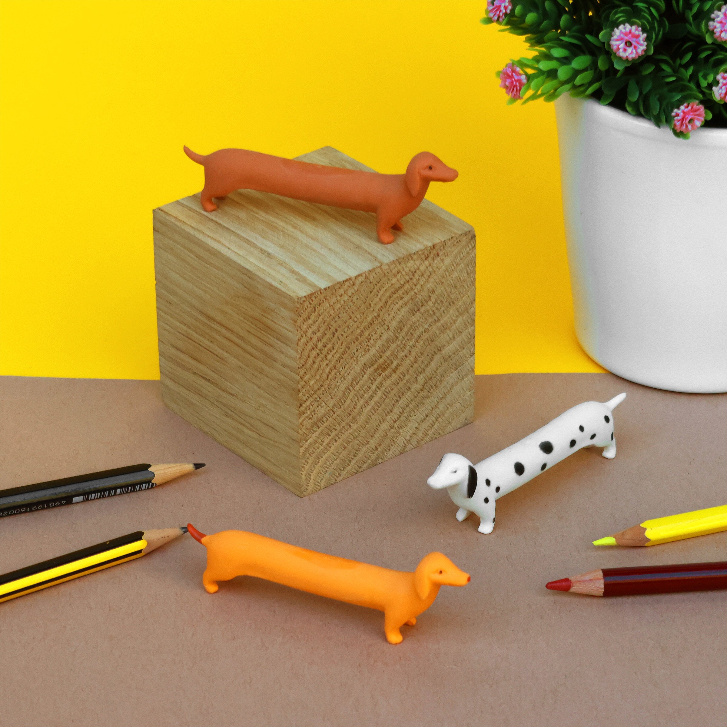 Suck - Pet Erasers