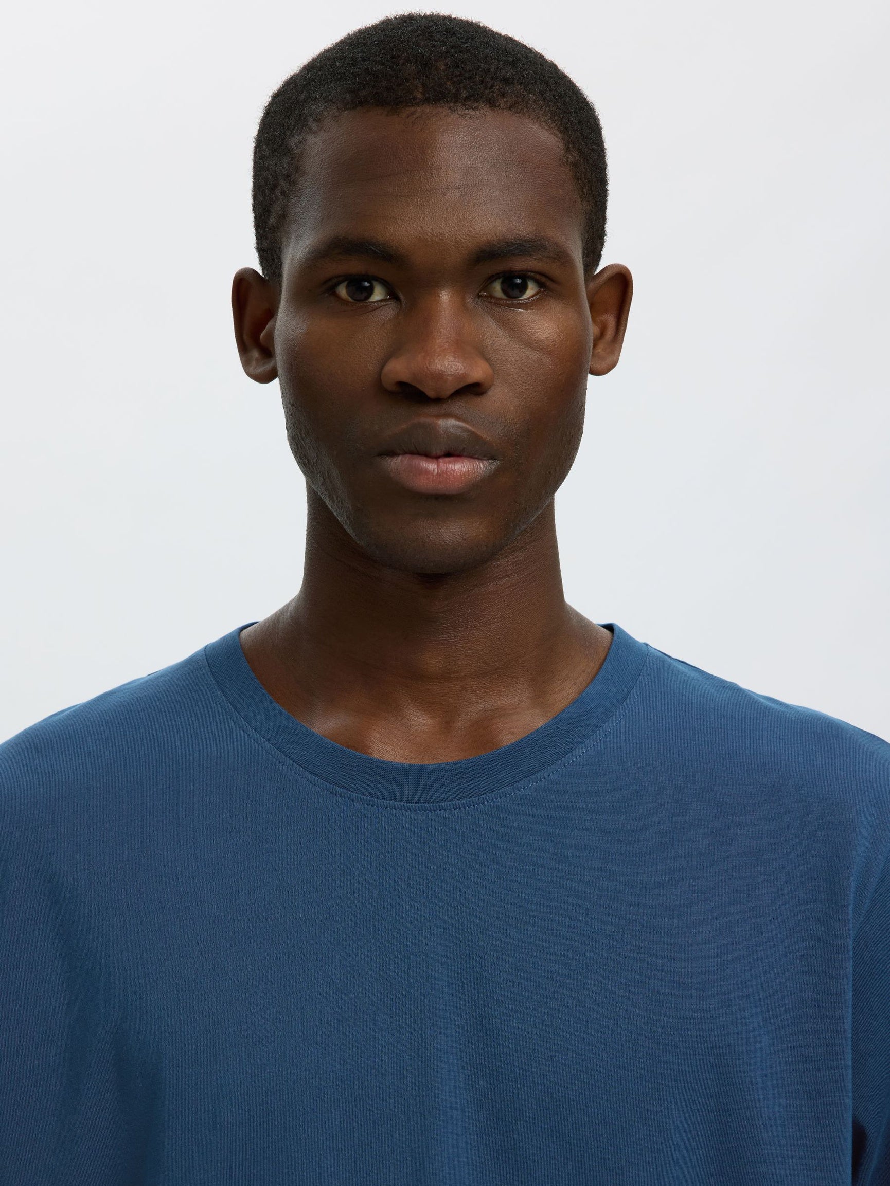 Selected H - Aspen T Shirt