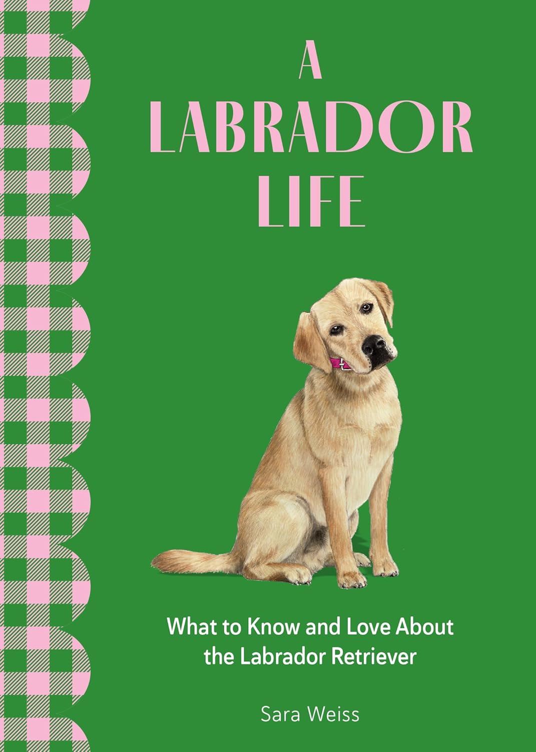 A Labrador Life