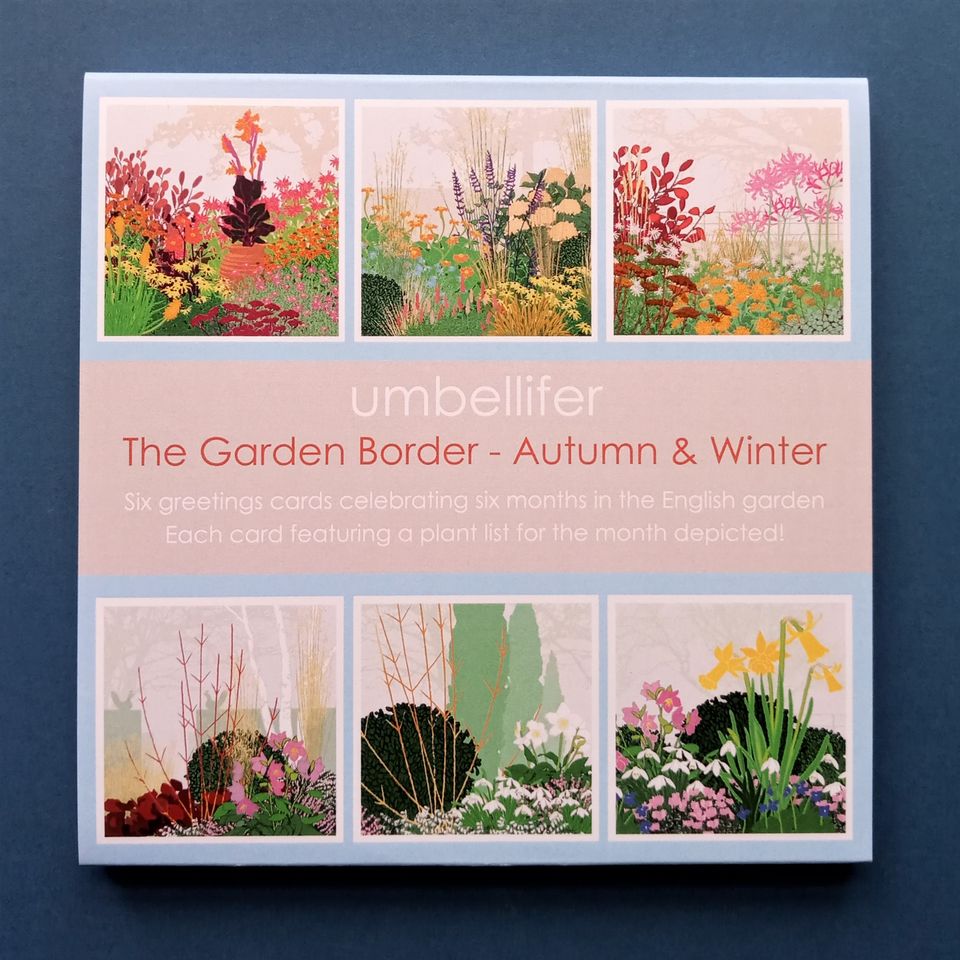 Umbellifer Pack 6 Cards