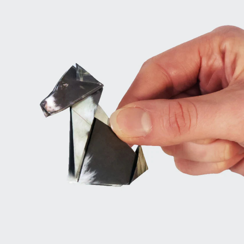 Pikkii - Origami Pets x 50