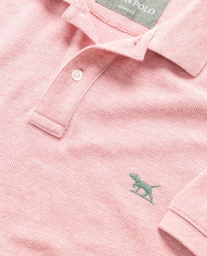 Rodd & Gunn - Gunn Polo