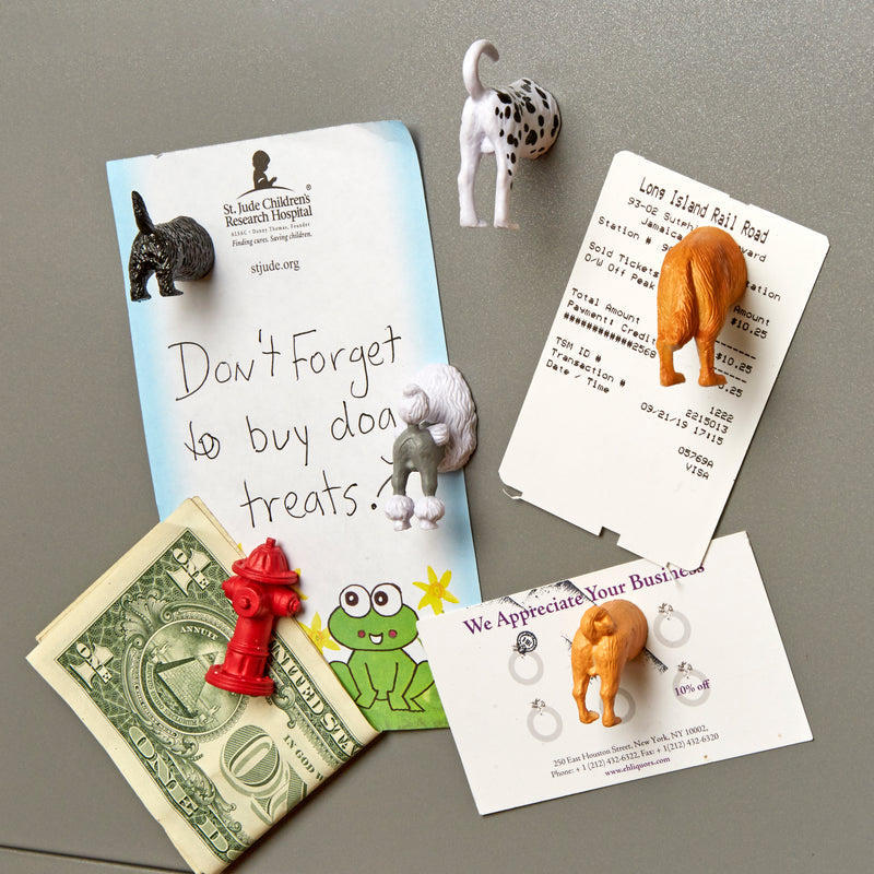 Kikkerland - Dog Butt Magnets