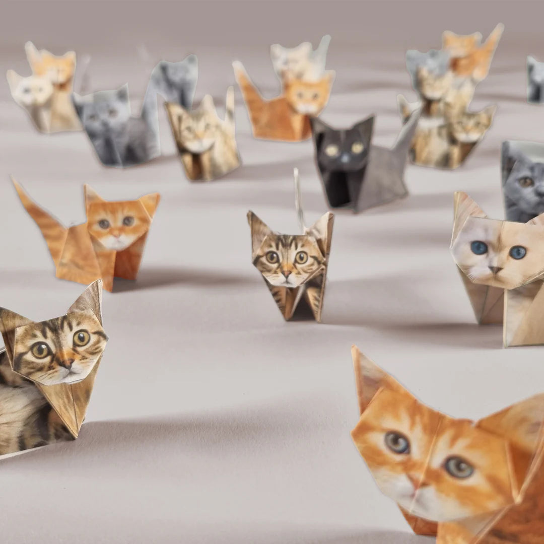 Pikkii - Origami Pets x 50