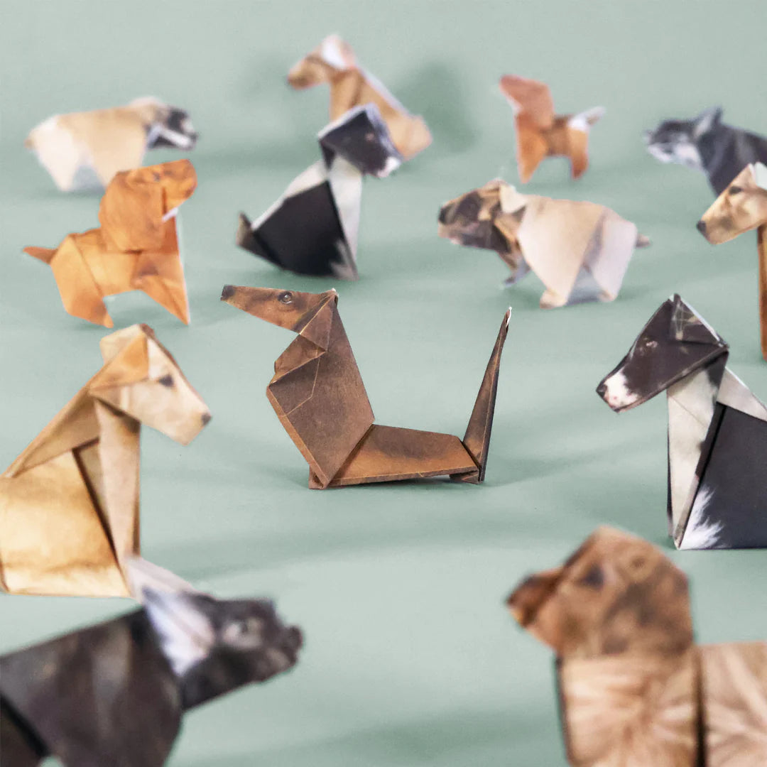Pikkii - Origami Pets x 50