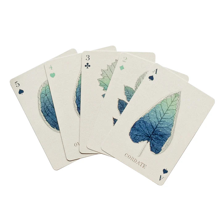 Roomy Town - Two Deck Playing Cards