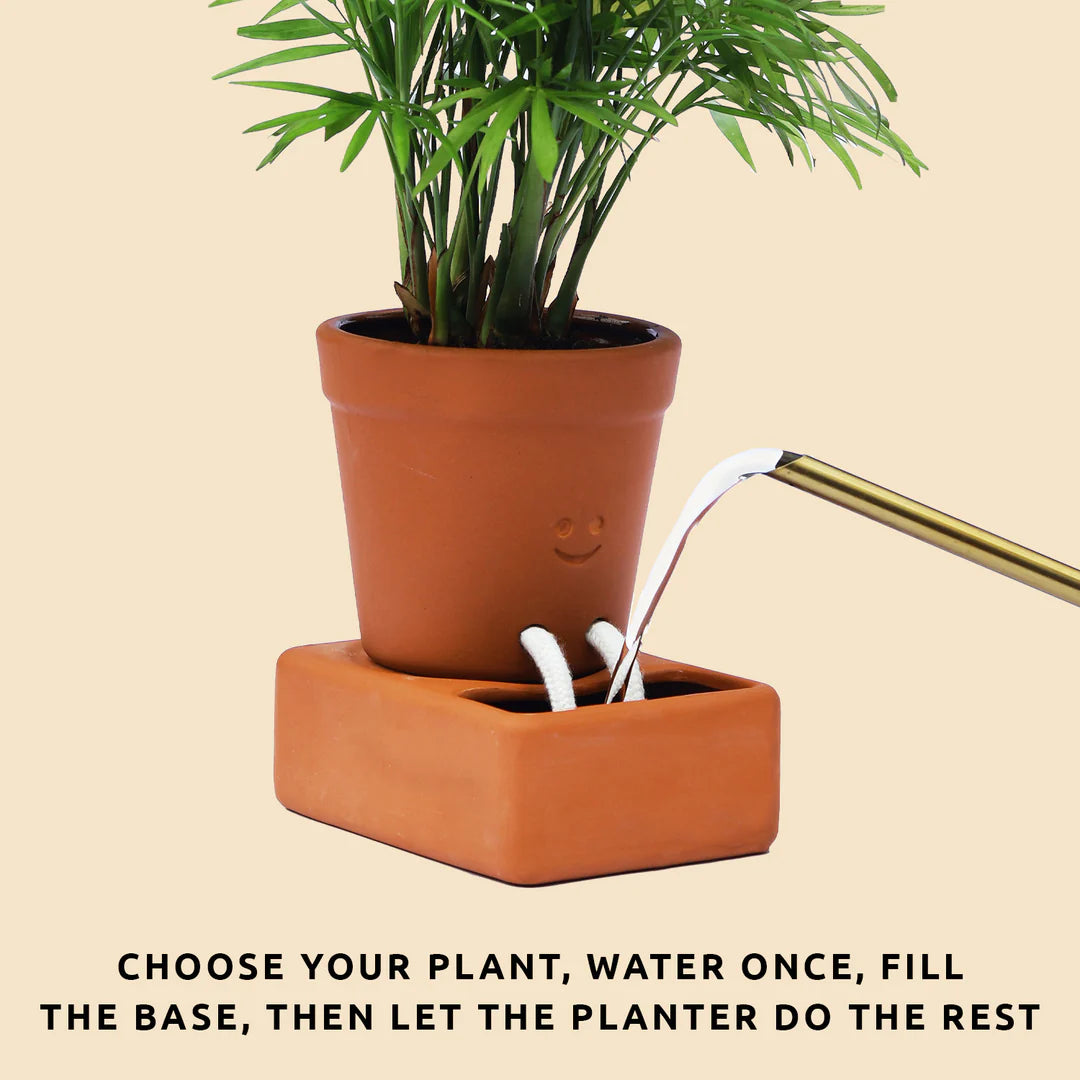 Pikkii - Self Care Planter