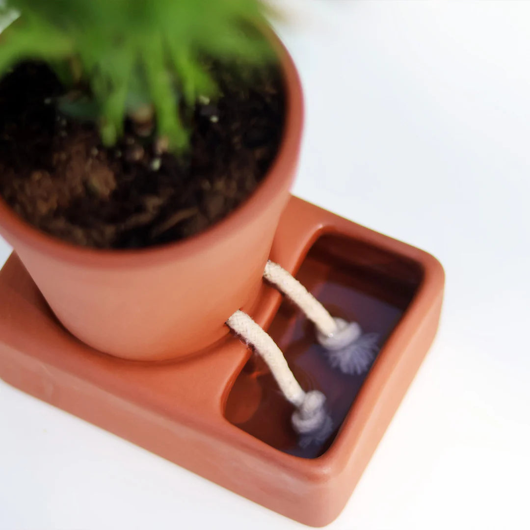 Pikkii - Self Care Planter