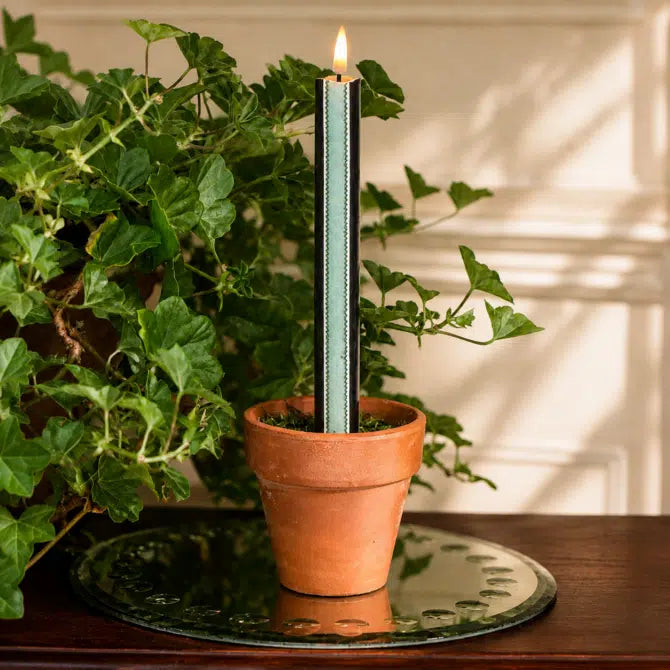 Tinkalink - LED Candles - Scallop Samba