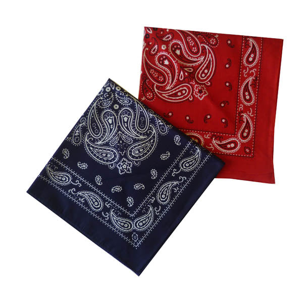 Bold Paisley Handkerchief