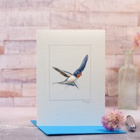 Penny Lindop Cards