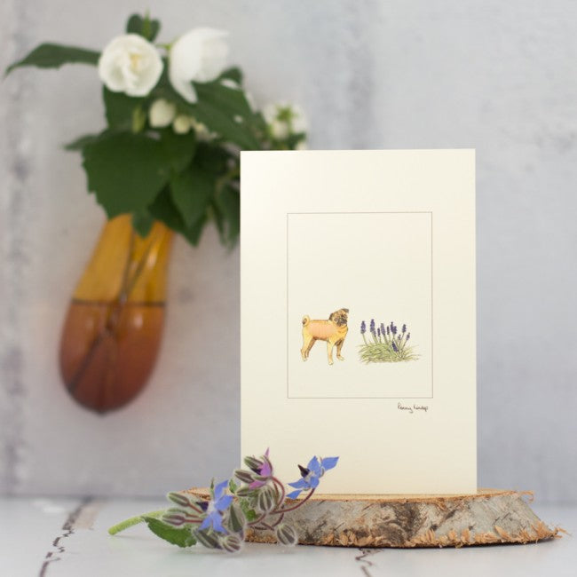 Penny Lindop Cards