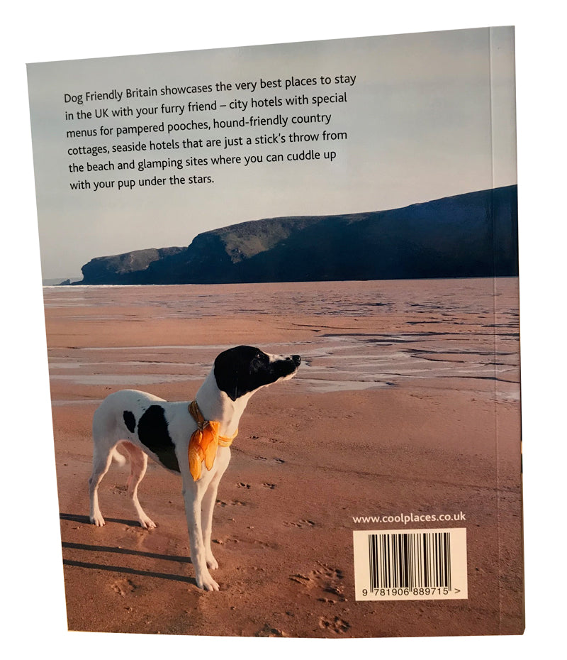 Dog Friendly Britain:  Cool Places to Stay with your Dog