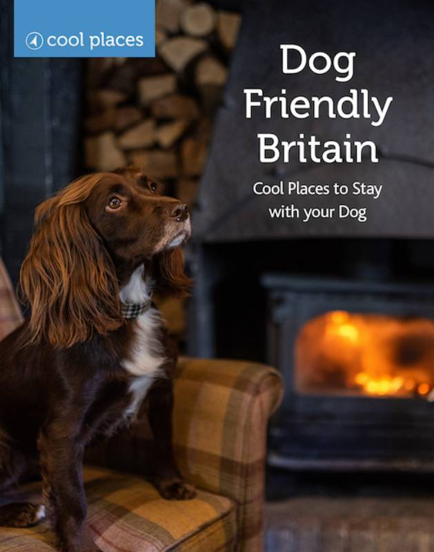 Dog Friendly Britain:  Cool Places to Stay with your Dog
