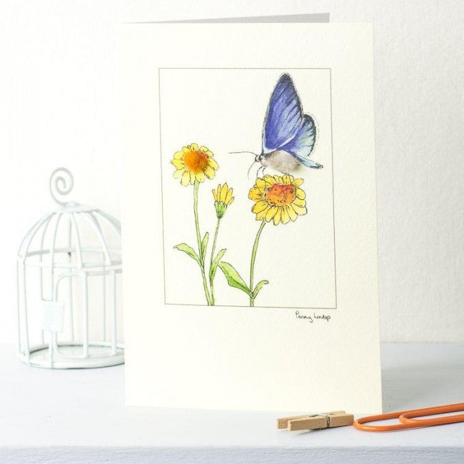 Penny Lindop Cards
