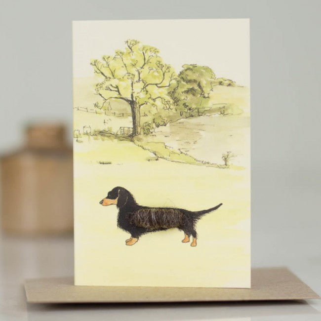Penny Lindop Cards