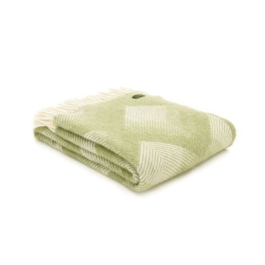 Tweedmill Prism Fern